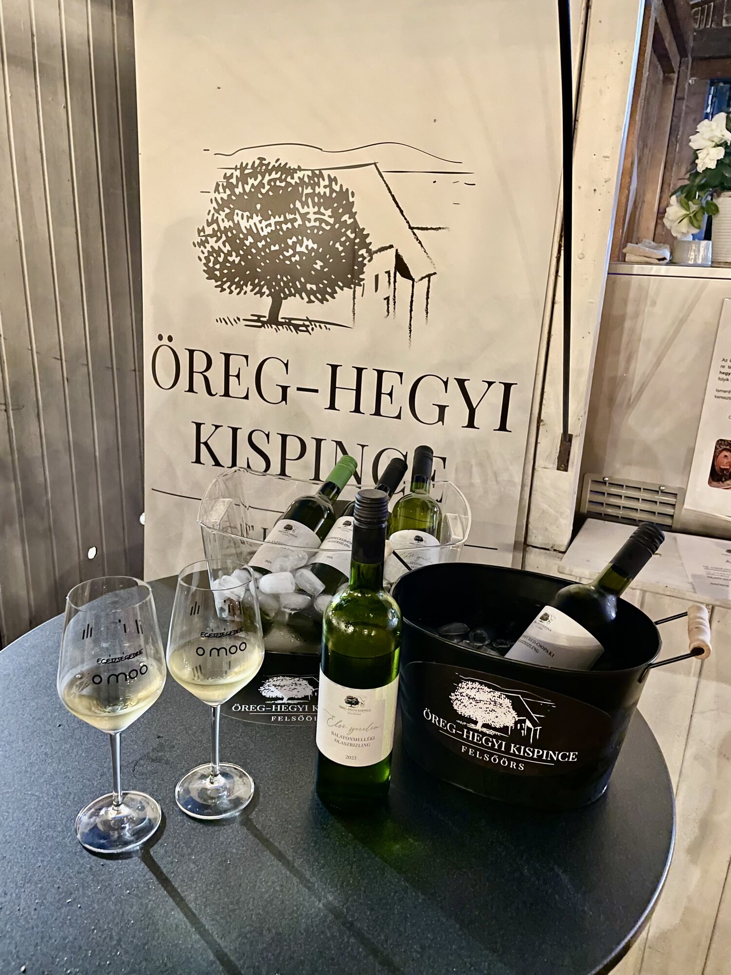 Rendezvények — pult és kitelepülés az Öreg-hegyi Kispincével