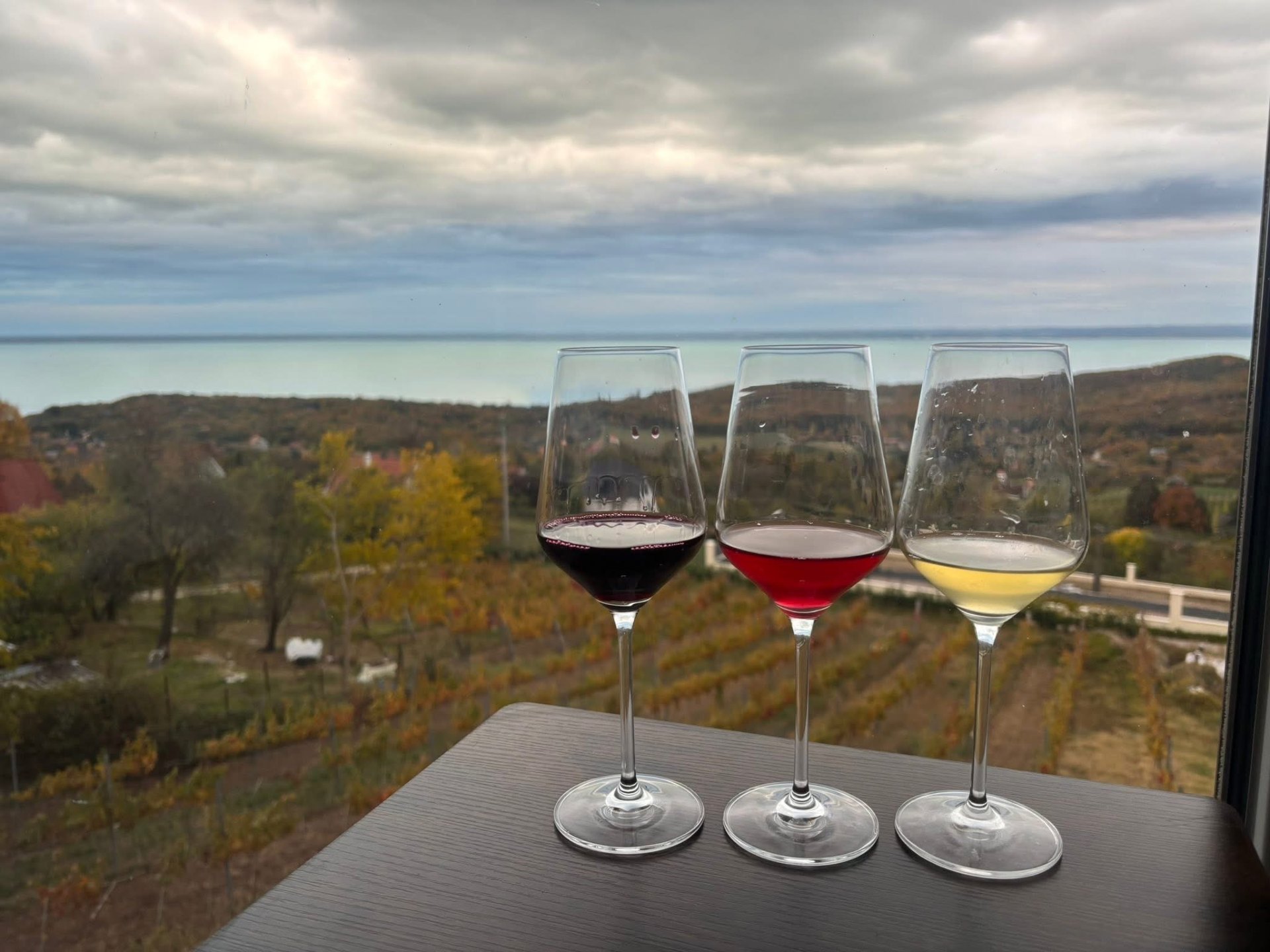 Boraink — vörös, rosé és fehér a Balatonra néző ablakban